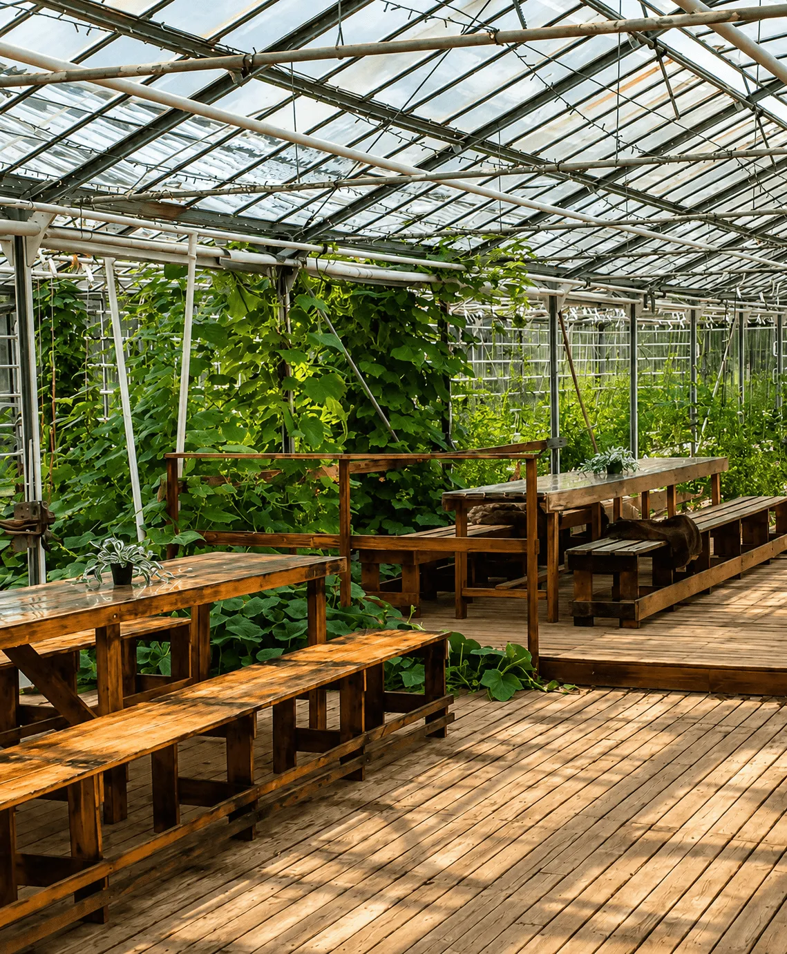 Greenhouse seating at Staldrið