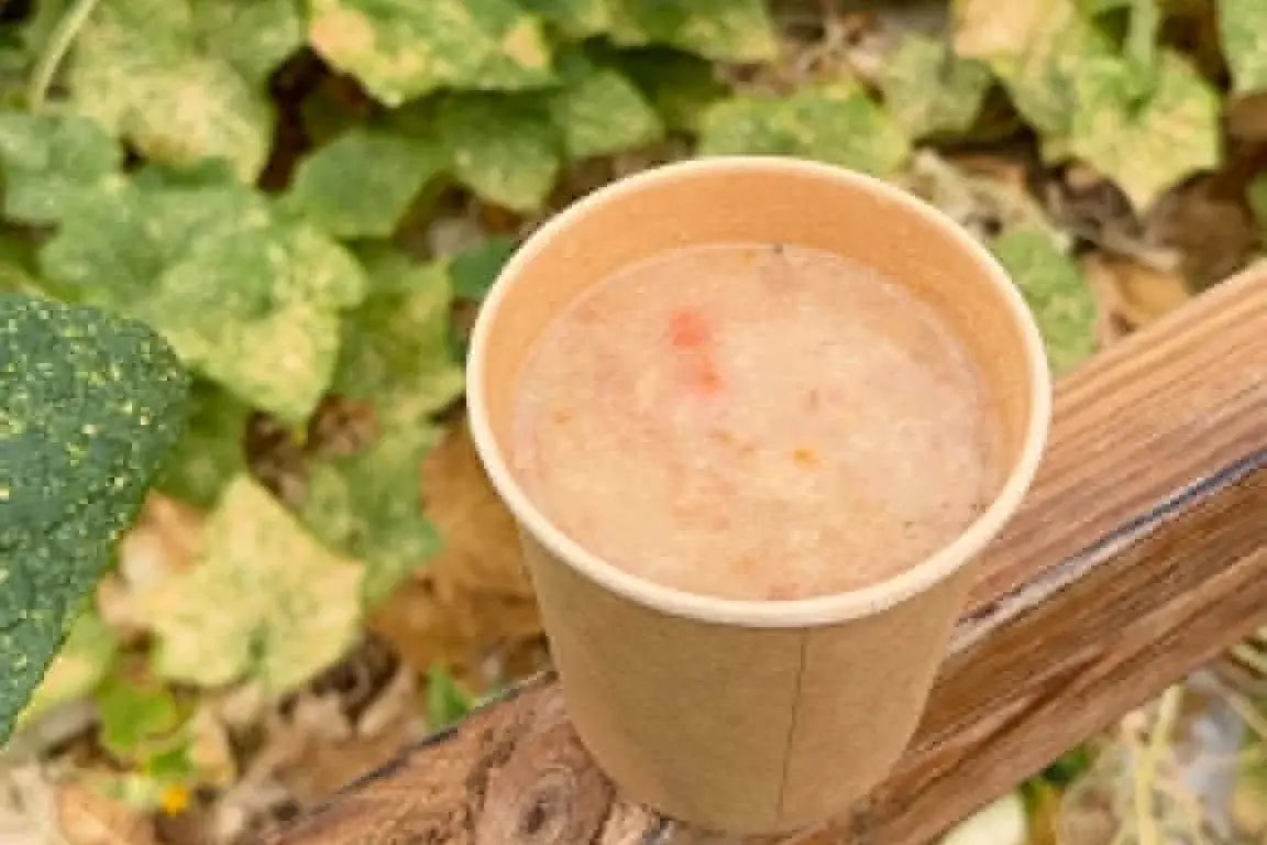 Icelandic meat soup