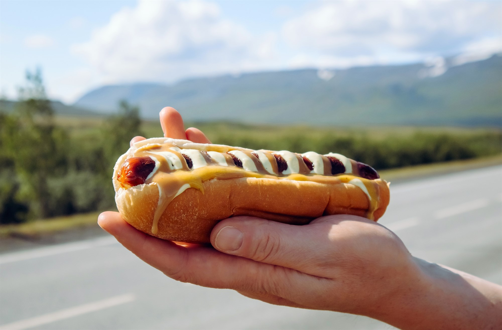 Hot dog