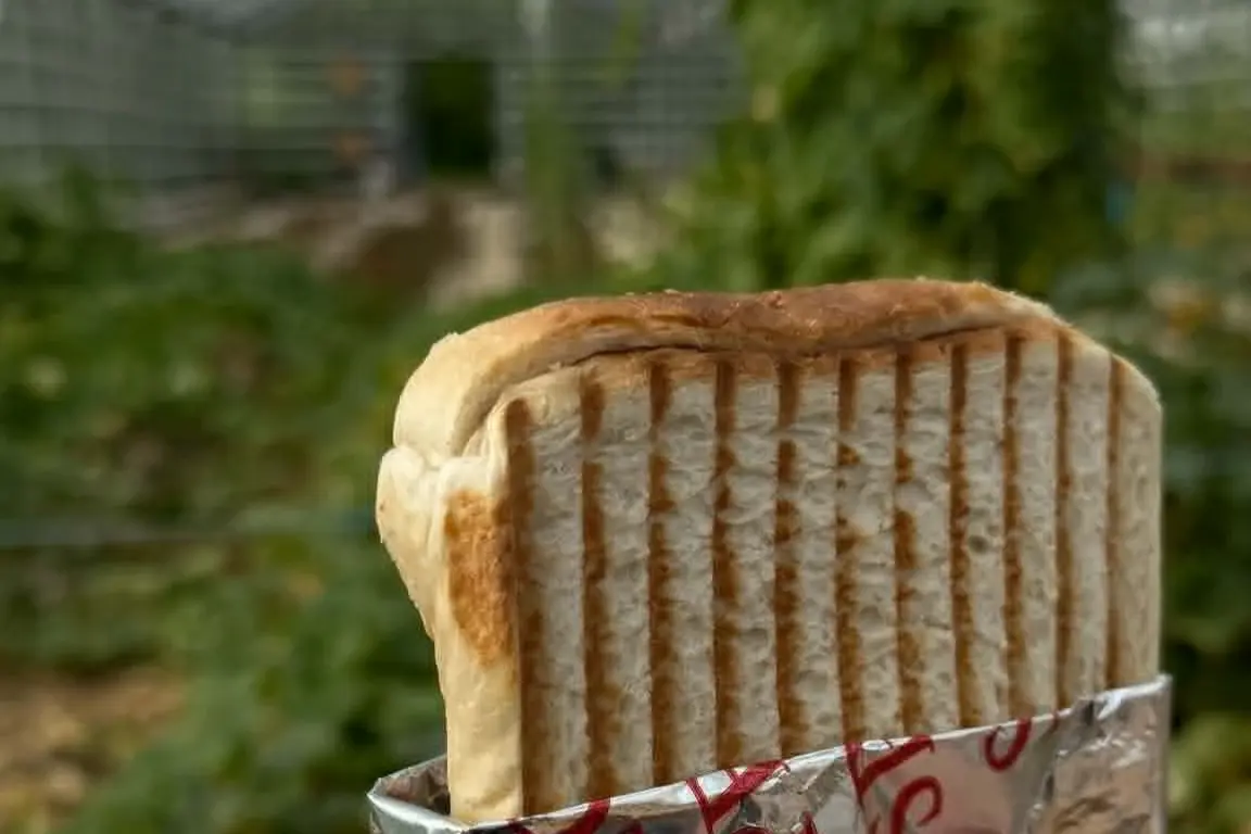 Sandwich & chips
