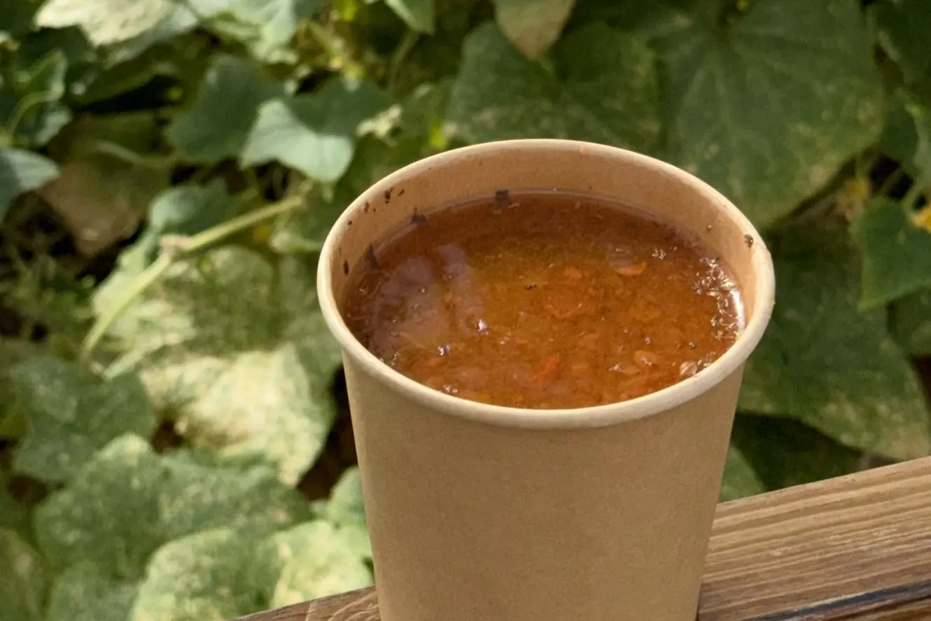 Tomato soup
